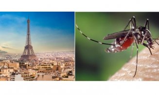 Febra denga pune pe jar Franţa chiar înainte de Jocurile Olimpice. S-a înregistrat un număr record de îmbolnăviri